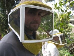 bee-veil