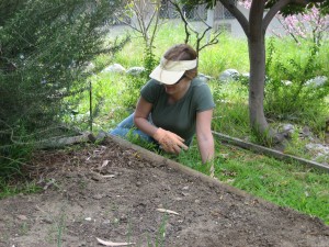 rmd-garden